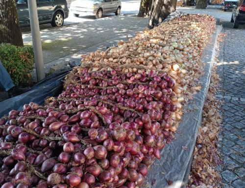 Penafiel acolhe no sábado a Feira de S. Bartolomeu