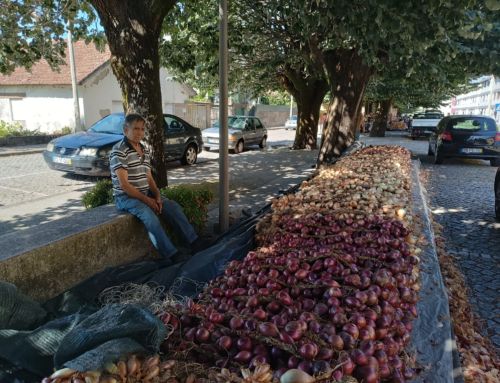 Agrival está quase a começar em Penafiel