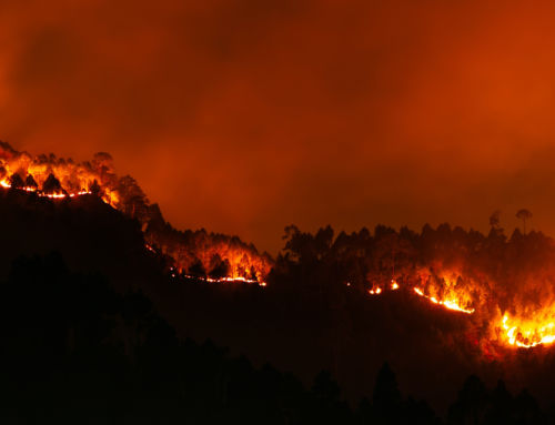 Incêndios obrigam ao corte de estradas e à evacuação de escolas