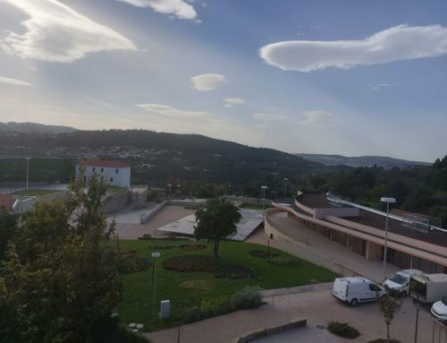 Já se prepara o S. Martinho em Penafiel